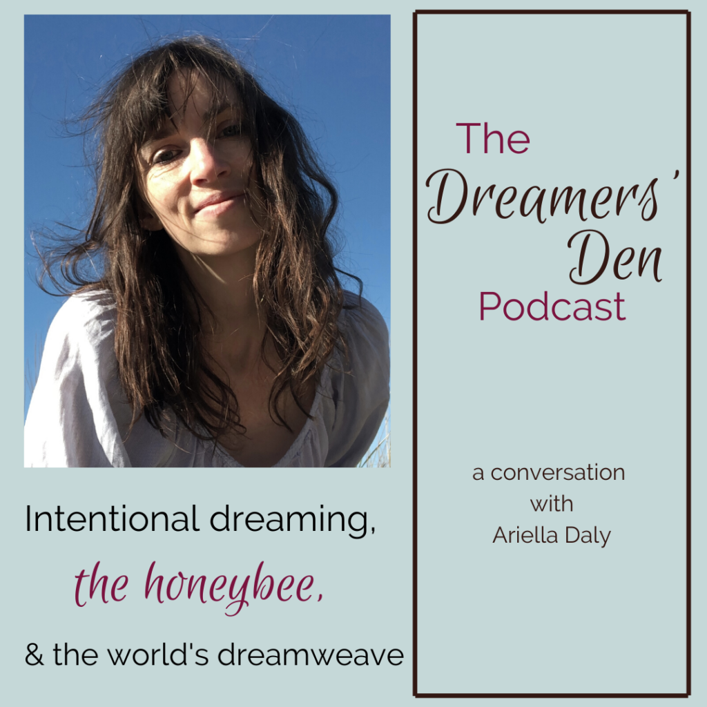 Dreamers Den Podcast Episode 31 Intentional Dreaming the Honeybee and the World's Dreamweave with Ariella Daly hosted by Leilani Navar thedreamersden.org