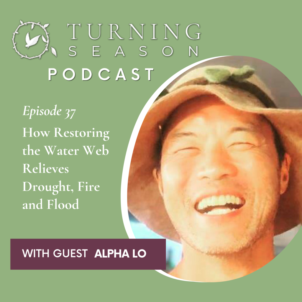 Turning Season Podcast Episode 37 with Alpha Lo hosted by Leilani Navar turningseason.com